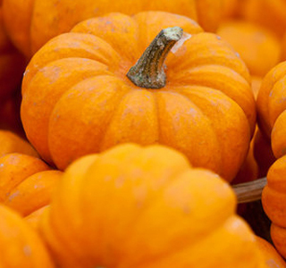 Festa della Zucca Melara 2025