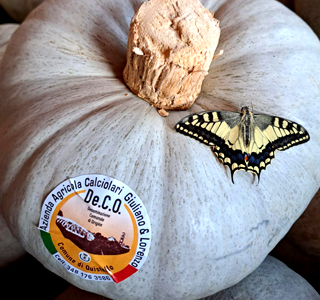 Festa della Zucca Quistello (MN) 2024