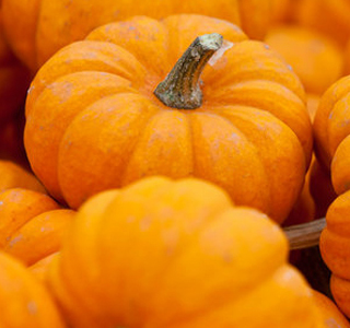 Festa della Zucca Sernaglia (TV) 2024