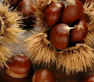 Festa delle Castagne Bracca 2023