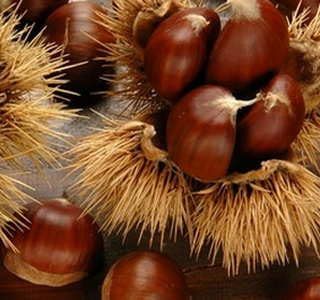 Festa delle Castagne Bracca (BG) 2024