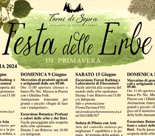 Festa delle Erbe Forni di Sopra (UD) 2024
