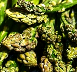 Festa di Primavera e Sagra dell'Asparago Selvatico Santopadre 2026