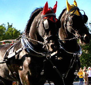 Festa di San Savino Ivrea 2025