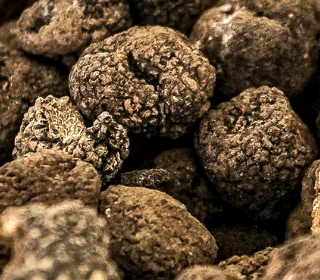 Festa Nazionale Tartufo della Val Bormida Millesimo 2023