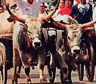 Festa Patronale Asigliano Vercellese 2024