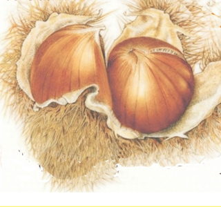 Feste d'Ottobre Sassetta 2025