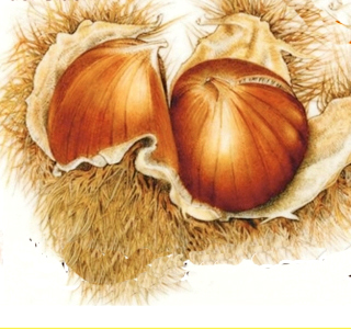 Feste d'Ottobre Sassetta 2026