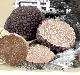 Festival del Tartufo in Lunigiana Bagnone 2025