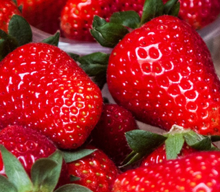 Festival della Fragola Terricciola (PI) 2024