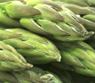 Fiera dell'Asparago Fubine Monferrato 2024