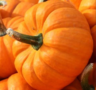 Fiera della Zucca Reggiolo 2025