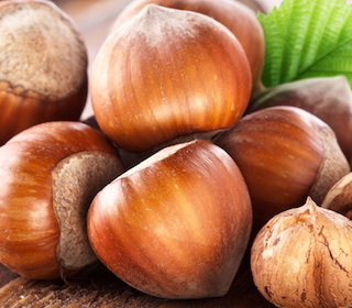 Fiera delle Nocciole Sarzana 2023