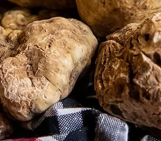Fiera di San Baudolino Mostra Mercato Regionale del Tartufo di Alessandria Alessandria 2022