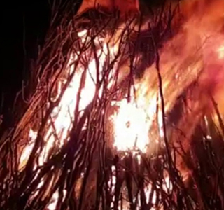 Fiera di Sant'Antonio Erba 2026