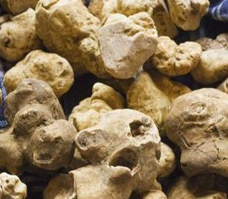Fiera e Sagra del Tartufo Dovadola (FC) 2022