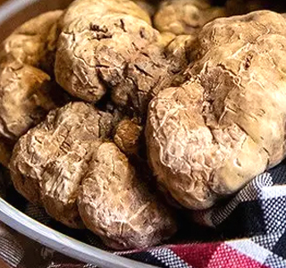 Fiera Internazionale del Tartufo Bianco di Alba 2026