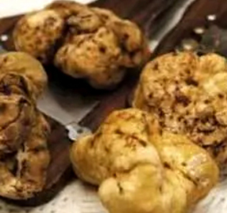 Fiera Nazionale del Tartufo Bianco del Monferrato Montechiaro d'Asti 2026