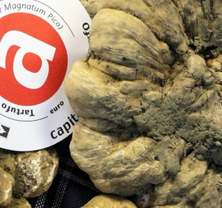 Fiera Nazionale del Tartufo Bianco di Acqualagna 2026