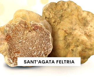 Fiera Nazionale del Tartufo Bianco Pregiato Sant'Agata Feltria 2023