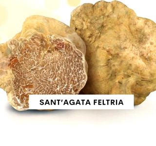 Fiera Nazionale del Tartufo Bianco Pregiato Sant'Agata Feltria 2025