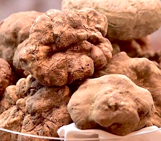 Fiera Nazionale del Tartufo Bianco Trisobbio 2023