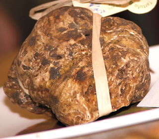 Fiera Nazionale del Tartufo Trifola d'Or Murisengo 2022