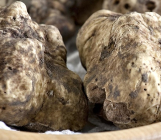 Fiera Regionale del Tartufo Castelnuovo Don Bosco 2022