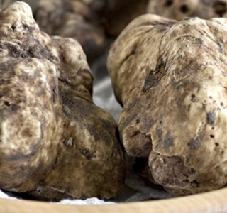 Fiera Regionale del Tartufo Castelnuovo Don Bosco 2025