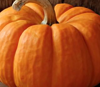 Fiera Regionale della Zucca Piozzo 2023