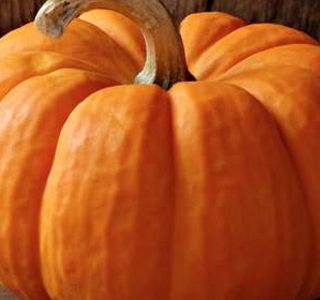 Fiera Regionale della Zucca Piozzo 2026