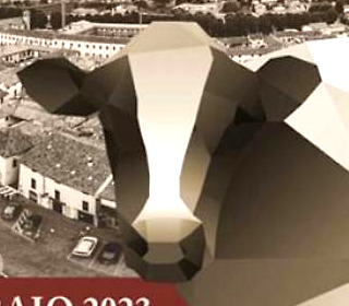 Fiera Regionale di Sant'Apollonia Rivolta d'Adda 2023