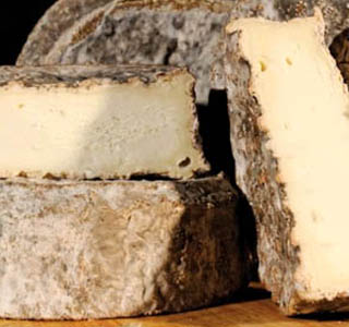 Formaticum & Salum'è Roma 2026