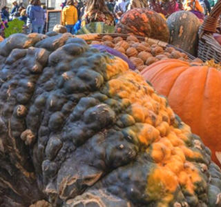 Fuori di Zucca Santa Maria Maggiore 2026