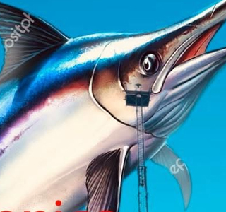 Gran Galà del Pesce Spada Bagnara Calabra 2026