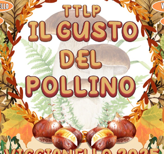 Il Gusto del Pollino Viggianello 2026