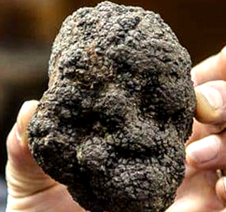 Il Tartufo tra i Sapori d'Autunno Capizzi 2025