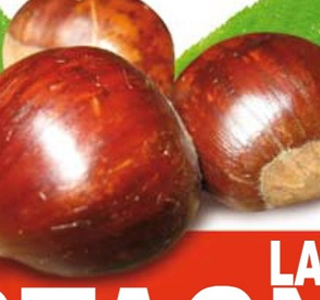 La Castagnata Asso 2026