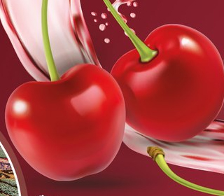 La Ciliegia Gioiello dell'Etna Sant'Alfio 2024