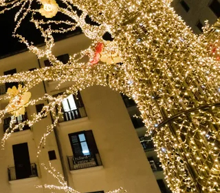 Luci d'Artista Salerno 2023