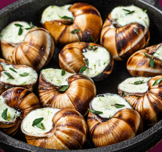 Lumaca d'Elite Casumaro 2026