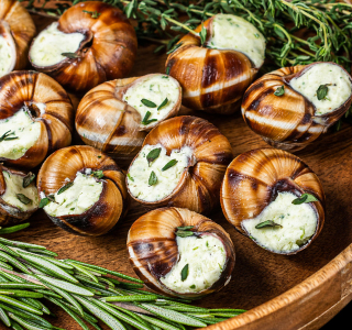 Lumaca Gourmet Casumaro 2025