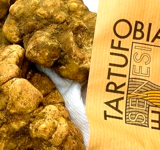 Mostra Mercato del Tartufo Bianco San Giovanni d'Asso 2026