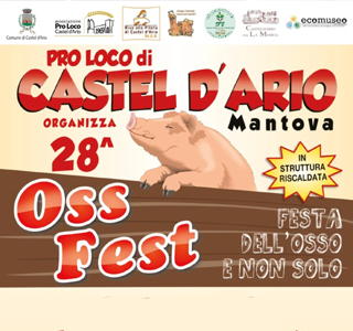 Oss Fest Castel d'Ario (MN) 2024
