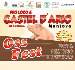 Oss Fest Castel d'Ario 2025