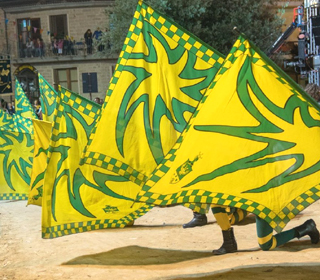 Palio degli Asinelli Ollolai (NU) 2024