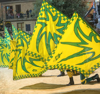 Palio degli Asinelli Ollolai 2026