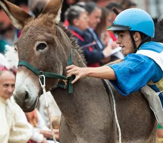 Palio degli Asini Alba 2023