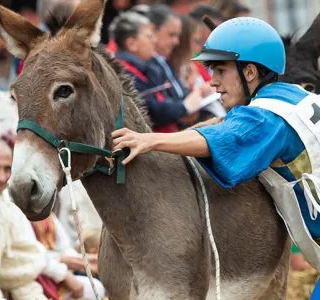 Palio degli Asini Alba 2026