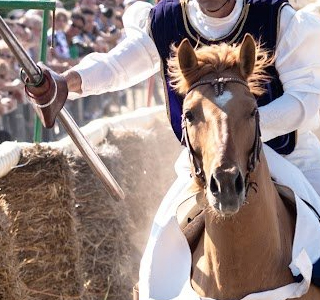Palio dell'Anello Tarquinia 2025